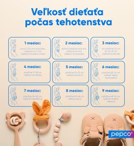 Infografika spoločnosti Pepco o veľkosti dieťaťa v jednotlivých mesiacoch tehotenstva