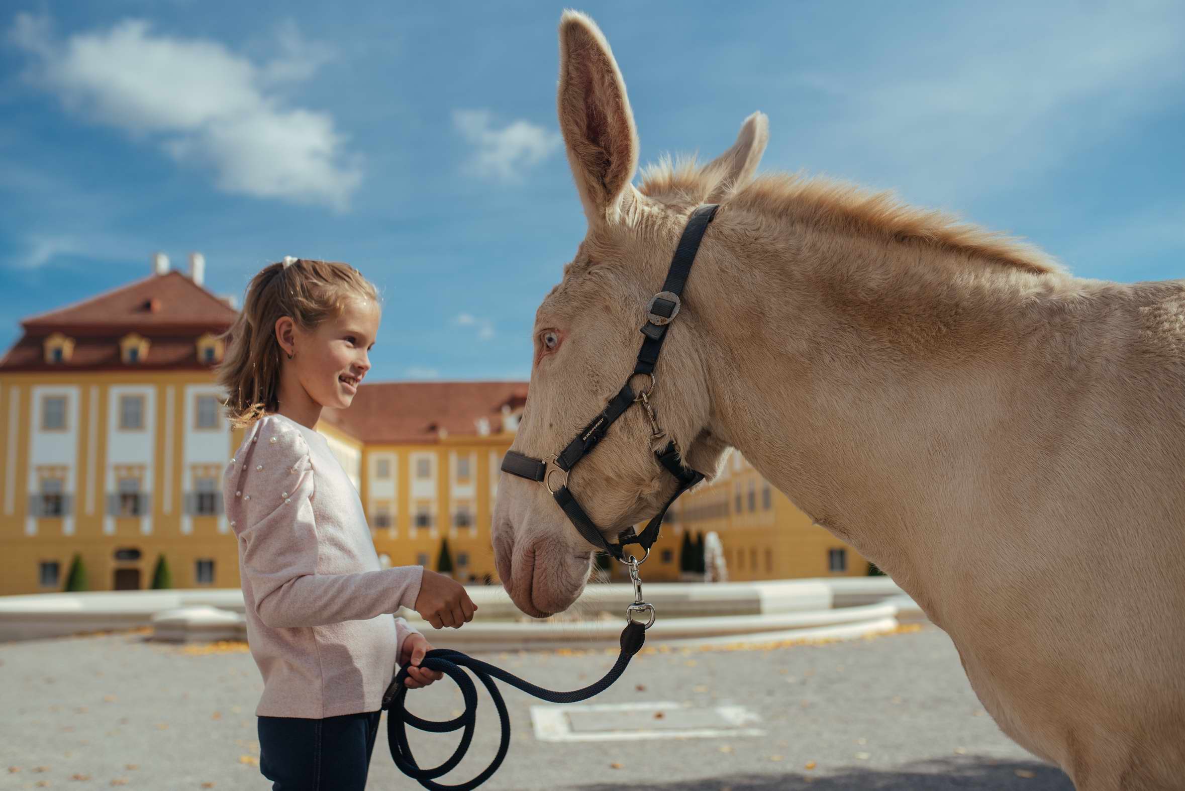 ZÁVER LETA NA ZÁMKU SCHLOSS HOF